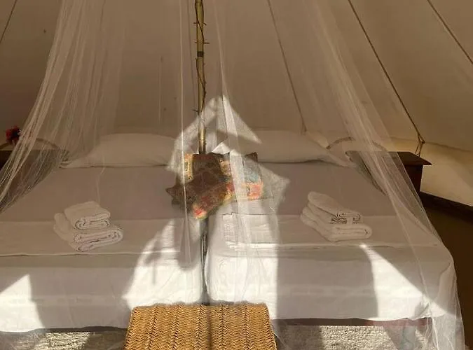 Cadiz -Tipi En Chiclana De La Frontera, Espana