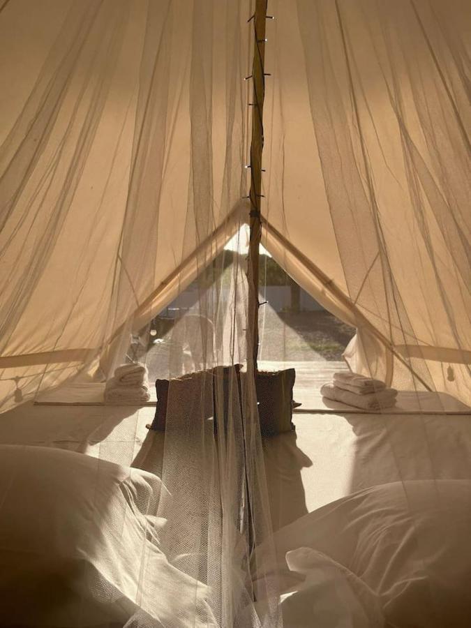 Cadiz -tipi En Chiclana De La Frontera, Espana Chiclana de la Frontera
